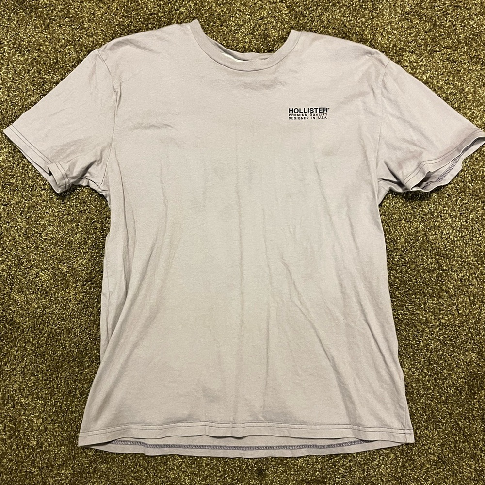 Hollister Mens T-shirt